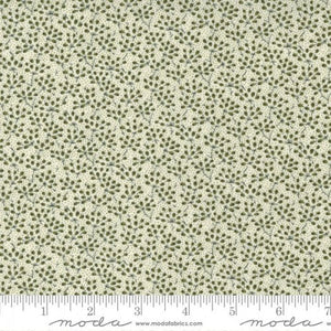 49171-12 Ground Cover - Sprout
