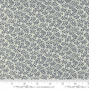 49171-13 Ground Cover - Hydrangea