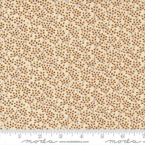 49171-15 Ground Cover - Cheddar
