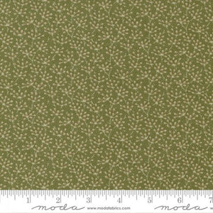 49171-25 Ground Cover - Sprout