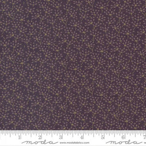 49171-30 Ground Cover - Clematis