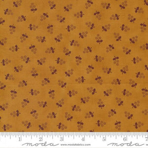 49172-23 Posy -Cheddar