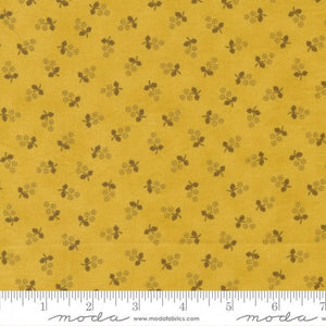 49172-25 Posey - Sunflower