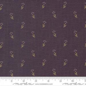 49175-27 Carnation - Clematis