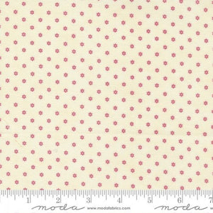 49176-14 Daisy - Primrose