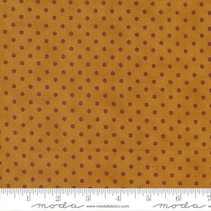 49176-23 Daisy - Cheddar