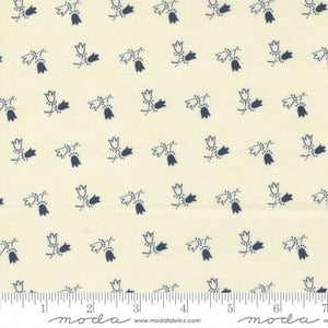 49177-13 Tulip - Hydranga