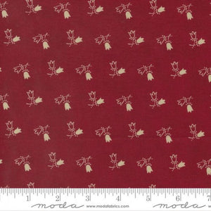 49177-19 Tulip - Rose