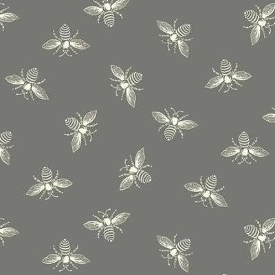 Wildlife, Birds & Insects