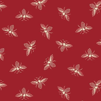 Wildlife, Birds & Insects