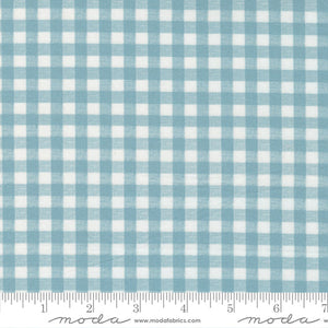 7406-16 Gingham - Tranquil