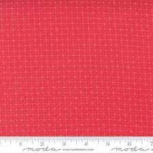29136-31 Star Gazing-Scarlett
