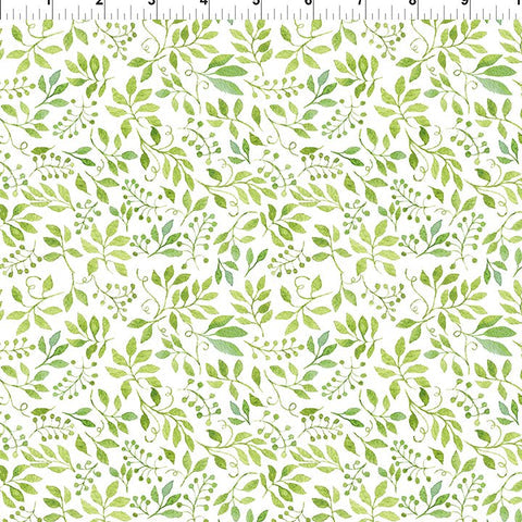 Patricia Collection by In the Beginning Fabric