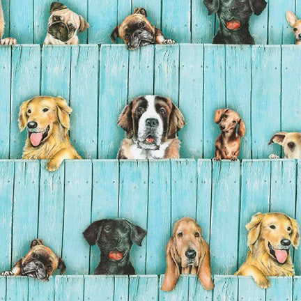 Cats & Dogs