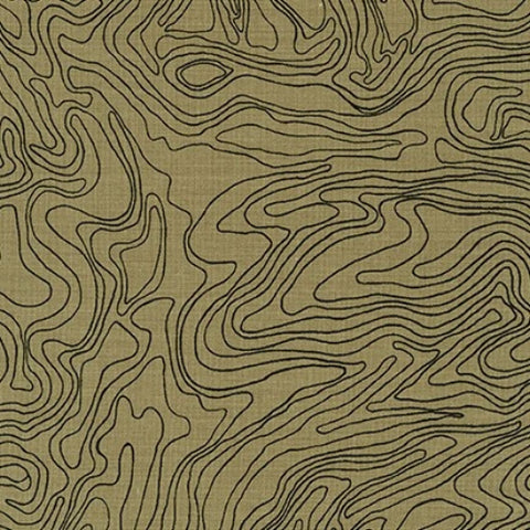 Fabric by Carolyn Friedlander for Robert Kaufman inc "Kept"