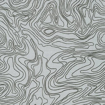 Fabric by Carolyn Friedlander for Robert Kaufman inc "Kept"