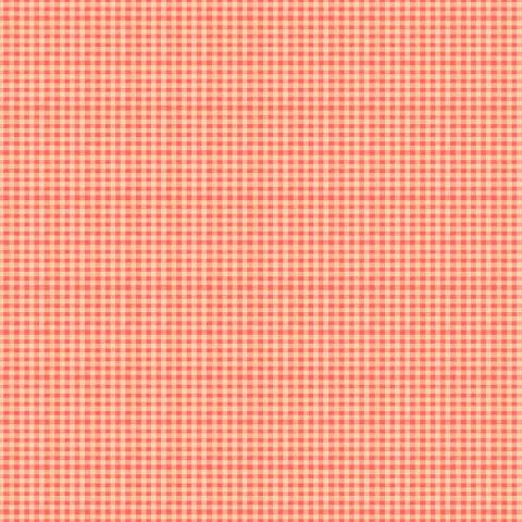 Orange - General Blenders