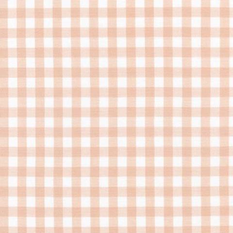 Peach and Coral - General Blenders