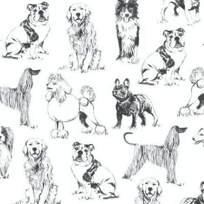 Cats & Dogs