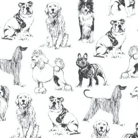 Cats & Dogs