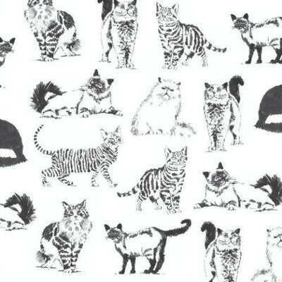 Cats & Dogs