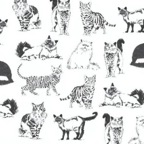 Cats & Dogs