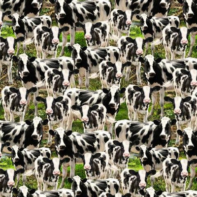 Farmyard