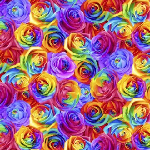Rainbow Rose By Chong-a Hwang for Timeless Treasures