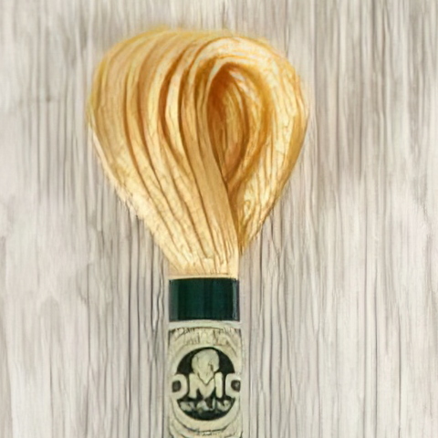 DMC Satin Threads