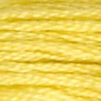 A close up of stranded thread col 17 Limonite
