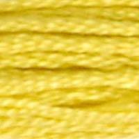 A close up of stranded thread col 18 Mirabelle