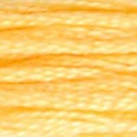 A close up of stranded thread col 19 Terre De Provence