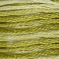 A close up of stranded thread col 94 Variegated Khaki Green