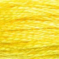 307 Lemon