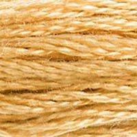 Close up of DMC stranded cotton shade 422 Light Oak