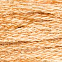 Close up of DMC stranded cotton shade 437 Camel