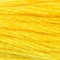 444 Bright Yellow