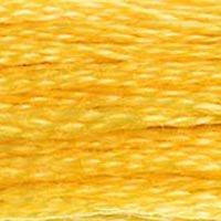 Close up of DMC stranded cotton shade 725 Sunlight Yellow