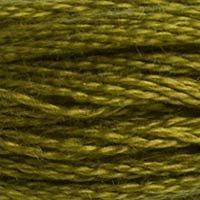 Close up of DMC stranded cotton shade 732 Bronze Green