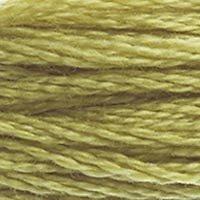 Close up of DMC stranded cotton shade 734 Light Olive Green