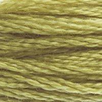 Close up of DMC stranded cotton shade 734 Light Olive Green