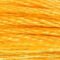 Close up of DMC stranded cotton shade 742 Light Tangerine