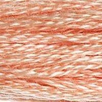 Close up of DMC stranded cotton shade 754 Beige Rose