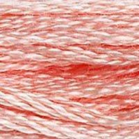 Close up of DMC stranded cotton shade 761 Sunrise Rose