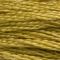 Close up of DMC stranded cotton shade 833 Brass