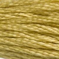 Close up of DMC stranded cotton shade 834 Light Brass