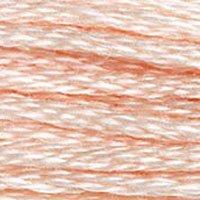 Close up of DMC stranded cotton shade 948 Pale Peach