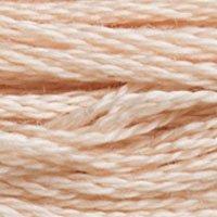 Close up of DMC stranded cotton shade 950 Beige