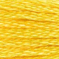 Close up of DMC stranded cotton shade 973 Daffodil Yellow