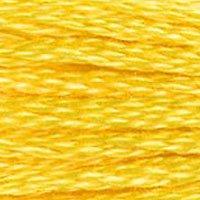 Close up of DMC stranded cotton shade 973 Daffodil Yellow